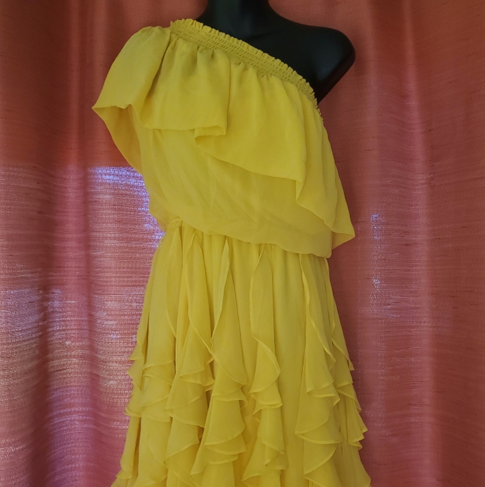 Jessica Simpson Size Small Dress.